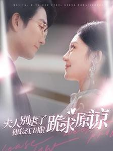 夫人別虐了傅總紅著眼跪求原諒 