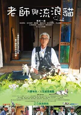 老师与流浪猫 