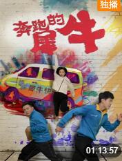 奔跑的犀牛 