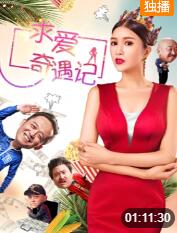 求爱奇遇记 