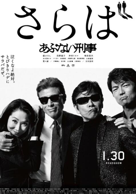 玩命警探7 