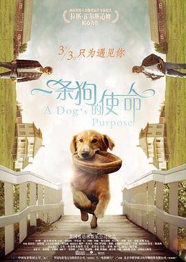 一条狗的使命,原声版 