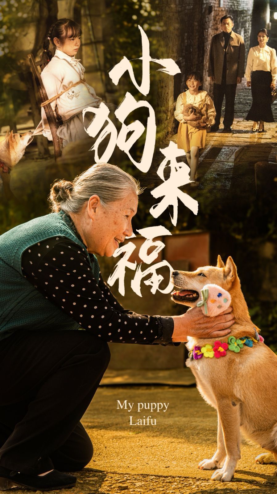小狗來福 