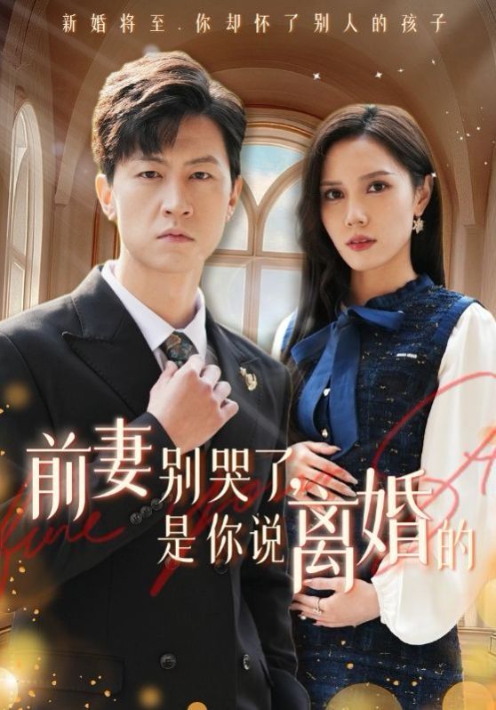 前妻別哭了是你說離婚的 