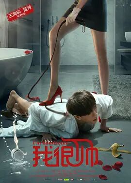 我很帅 