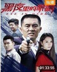 黑夜里的眼睛 