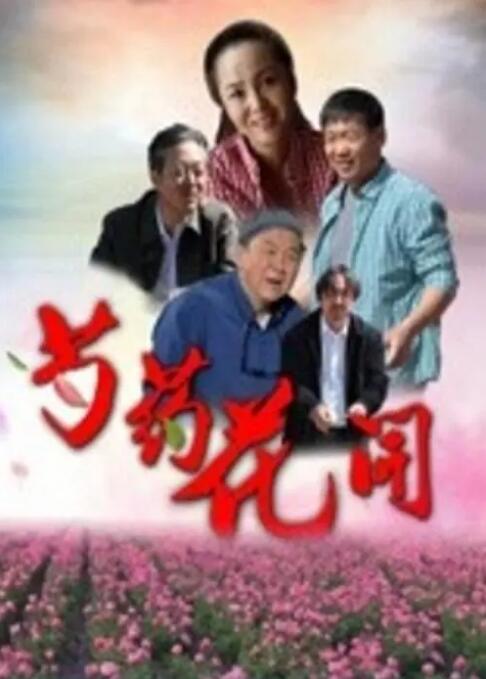 芍药花开 