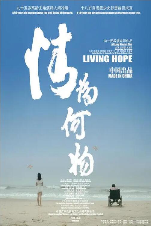 情为何物 