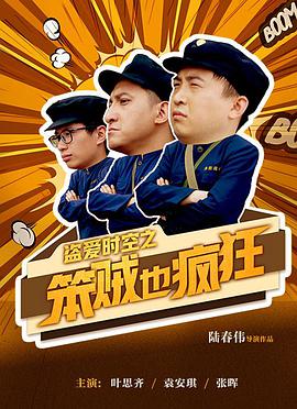 盗爱时空之笨贼也疯狂 