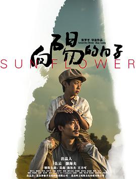 向阳的日子 