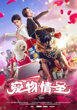 宠物情圣 
