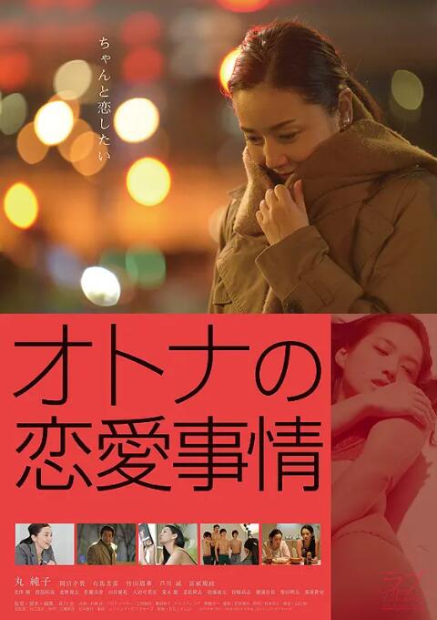成年人的爱情故事 