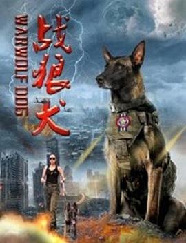 戰(zhàn)狼犬 