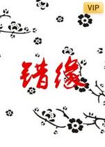 錯緣 