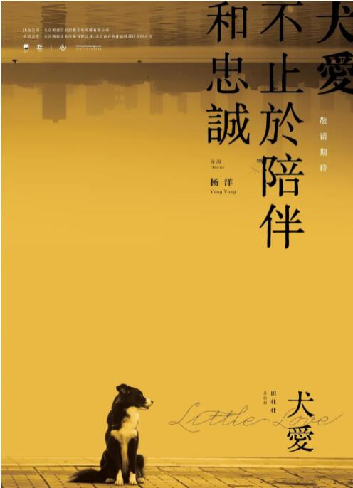 犬愛 