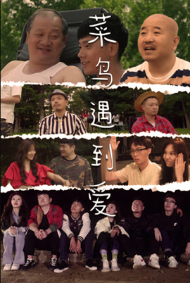 菜鳥(niǎo)遇到愛(ài) 