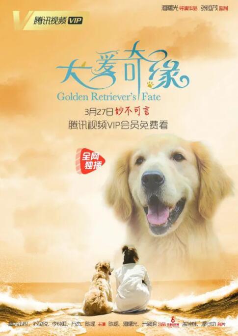 犬愛奇緣 