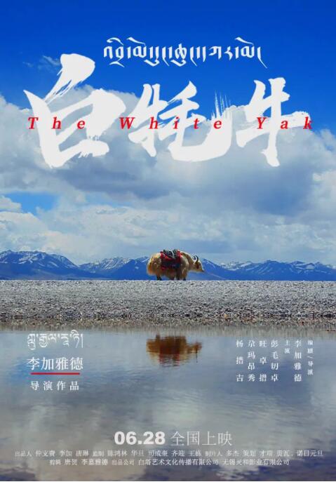 白牦牛 