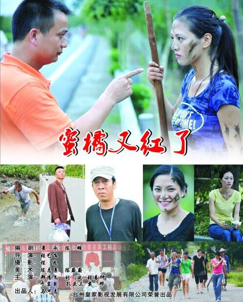 蜜橘又红了 
