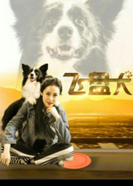 飞盘犬,「2020」 