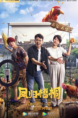凤归梧桐 