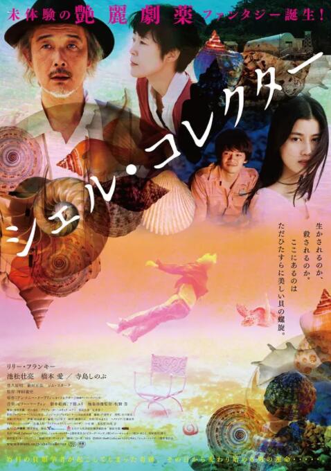 貝殼收藏家 