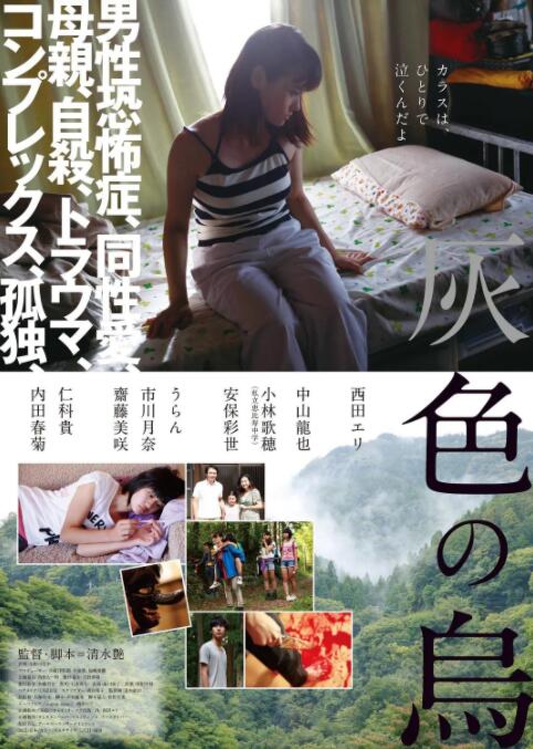 灰色乌鸦 