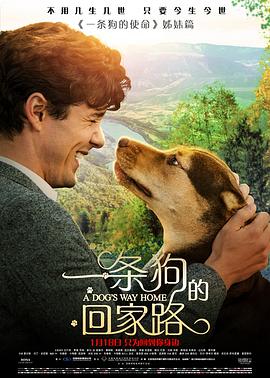 一条狗的回家路,原声版 