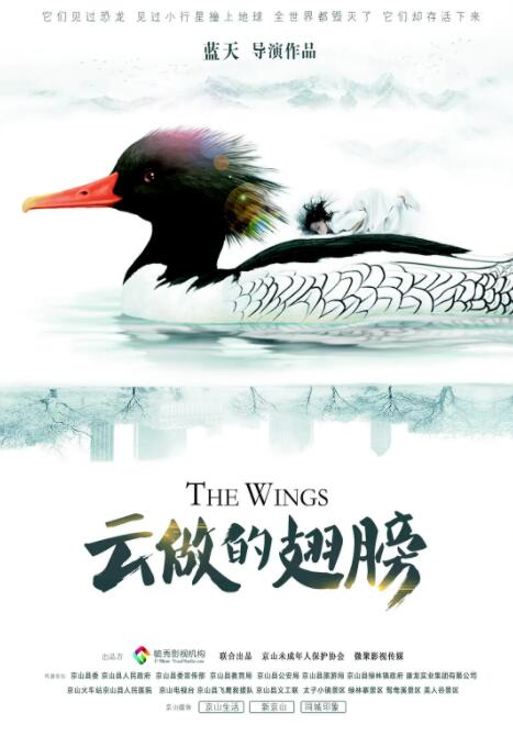 云做的翅膀 