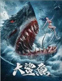 大鯊魚 