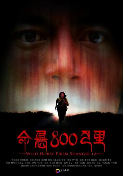 命懸800公里 