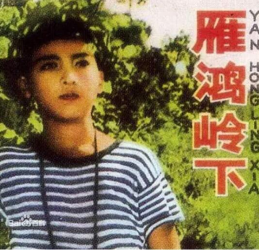 雁鴻嶺下 