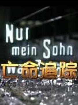 亡命追踪,国语版 