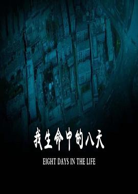 我生命中的八天 