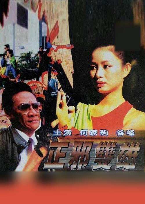 正邪雙雄 