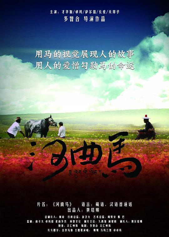河曲馬 