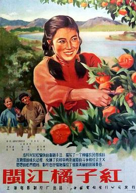 闽江橘子红 