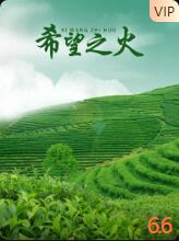 希望之火 