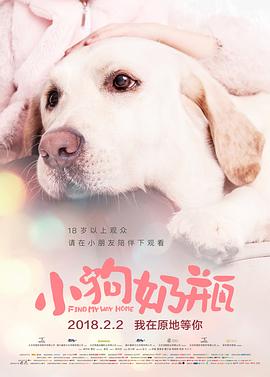 小狗奶瓶 