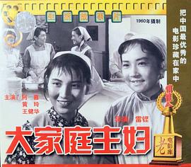 大家庭主妇 