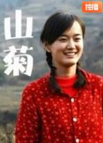 山菊 