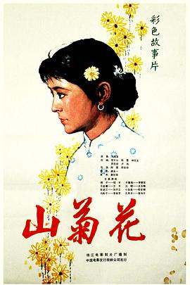 山菊花 