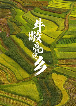 牛敞亮還鄉(xiāng) 