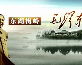 东湖梅岭毛泽东 