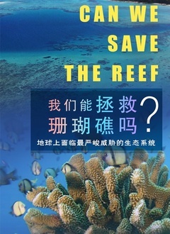 我们能拯救珊瑚礁吗 