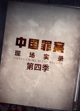 罪案现场实录,第四季 