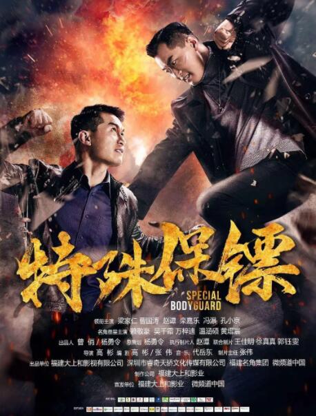 特殊保镖 