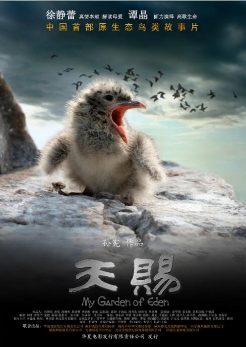 天赐 