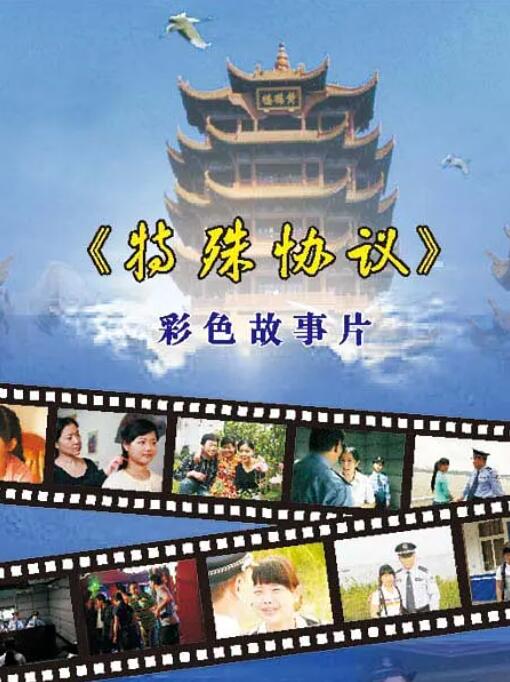 特殊協(xié)議 