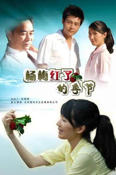 楊梅紅了的季節(jié) 